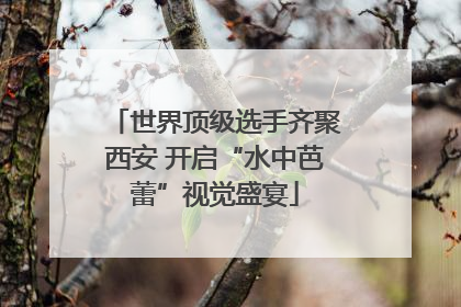 世界顶级选手齐聚西安 开启“水中芭蕾”视觉盛宴