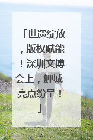 世遗绽放，版权赋能！深圳文博会上，鲤城亮点纷呈！