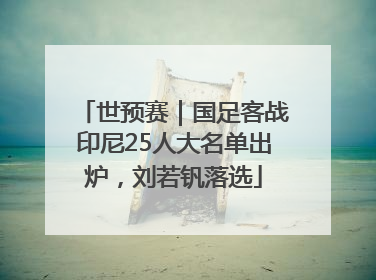 世预赛｜国足客战印尼25人大名单出炉，刘若钒落选