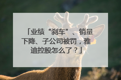 业绩“刹车”、销量下降、子公司被罚，雅迪控股怎么了？