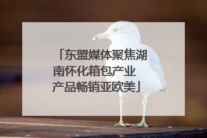 东盟媒体聚焦湖南怀化箱包产业 产品畅销亚欧美