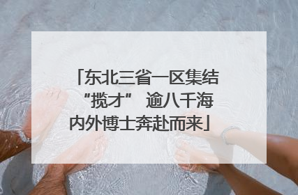 东北三省一区集结“揽才” 逾八千海内外博士奔赴而来