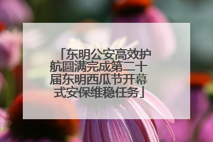 东明公安高效护航圆满完成第二十届东明西瓜节开幕式安保维稳任务
