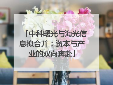 中科曙光与海光信息拟合并：资本与产业的双向奔赴