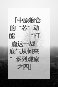 中原粮仓的“芯”动能——“打赢这一战 底气从何来”系列观察之四