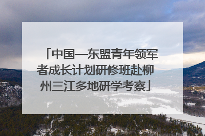 中国—东盟青年领军者成长计划研修班赴柳州三江多地研学考察