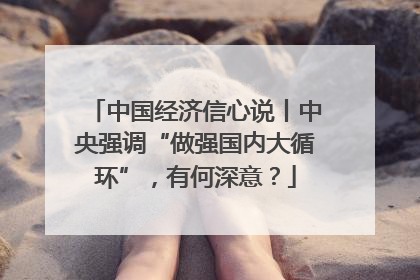中国经济信心说丨中央强调“做强国内大循环”，有何深意？