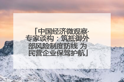 中国经济微观察·专家谈构：筑抵御外部风险制度防线 为民营企业保驾护航