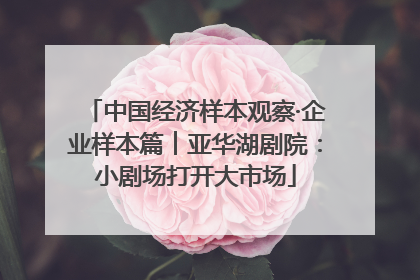 中国经济样本观察·企业样本篇︱亚华湖剧院：小剧场打开大市场