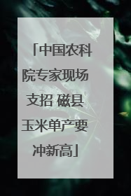 中国农科院专家现场支招 磁县玉米单产要冲新高