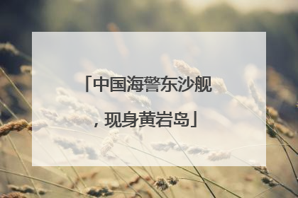 中国海警东沙舰，现身黄岩岛