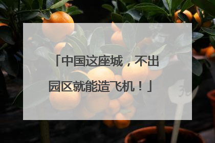 中国这座城，不出园区就能造飞机！