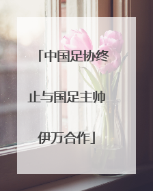 中国足协终止与国足主帅伊万合作