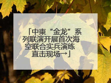 中柬“金龙”系列联演开展首次海空联合实兵演练 直击现场→