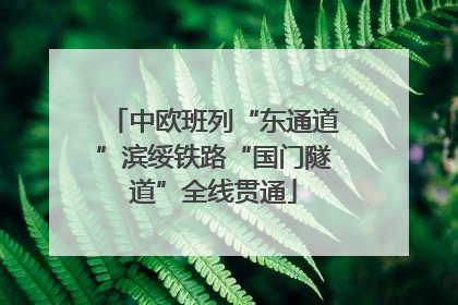 中欧班列“东通道”滨绥铁路“国门隧道”全线贯通