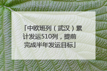 中欧班列（武汉）累计发运510列，提前完成半年发运目标
