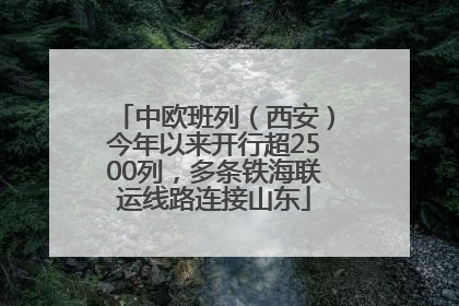 中欧班列（西安）今年以来开行超2500列，多条铁海联运线路连接山东