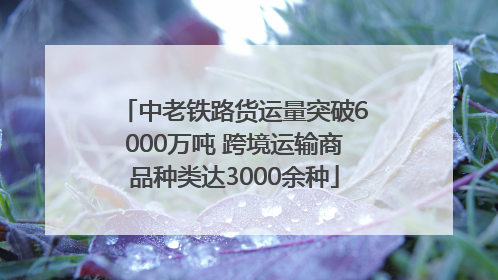 中老铁路货运量突破6000万吨 跨境运输商品种类达3000余种