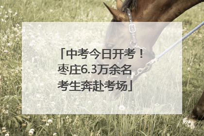 中考今日开考！枣庄6.3万余名考生奔赴考场