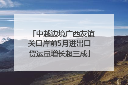 中越边境广西友谊关口岸前5月进出口货运量增长超三成