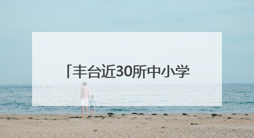丰台近30所中小学建“彩色学安路”