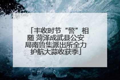 丰收时节“警”相随 菏泽成武县公安局南鲁集派出所全力护航大蒜收获季