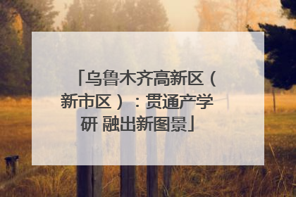 乌鲁木齐高新区（新市区）：贯通产学研 融出新图景