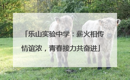 乐山实验中学：薪火相传情谊浓，青春接力共奋进