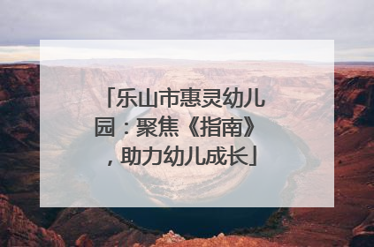 乐山市惠灵幼儿园：聚焦《指南》，助力幼儿成长
