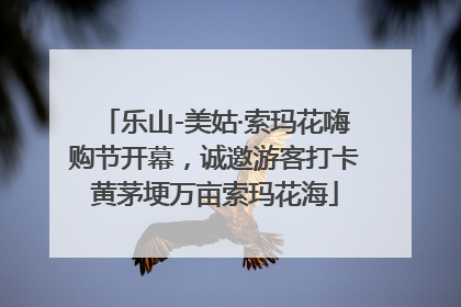 乐山-美姑·索玛花嗨购节开幕，诚邀游客打卡黄茅埂万亩索玛花海