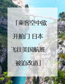 乘客空中欲开舱门 日本飞往美国航班被迫改道