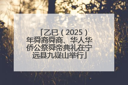乙巳（2025）年舜裔舜商、华人华侨公祭舜帝典礼在宁远县九嶷山举行