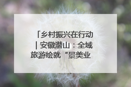 乡村振兴在行动｜安徽潜山：全域旅游绘就“景美业兴民富”新画卷
