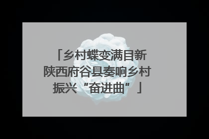 乡村蝶变满目新 陕西府谷县奏响乡村振兴“奋进曲”