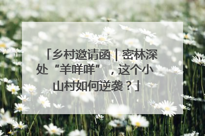 乡村邀请函｜密林深处“羊咩咩”，这个小山村如何逆袭？