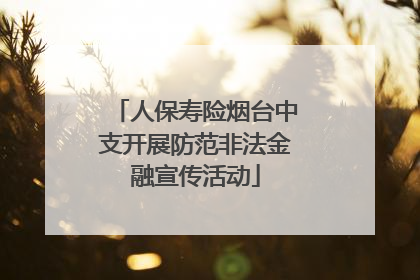 人保寿险烟台中支开展防范非法金融宣传活动
