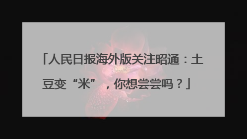 人民日报海外版关注昭通：土豆变“米”，你想尝尝吗？