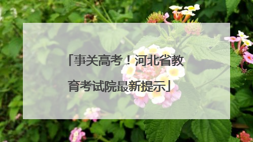 事关高考！河北省教育考试院最新提示