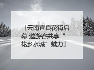 云南宜良花街启幕 邀游客共享“花乡水城”魅力