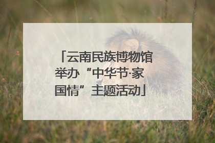 云南民族博物馆举办“中华节·家国情”主题活动