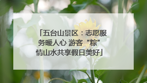 五台山景区：志愿服务暖人心 游客“粽”情山水共享假日美好