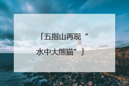 五指山再现“水中大熊猫”