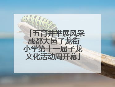 五育并举展风采 成都大邑子龙街小学第十一届子龙文化活动周开幕