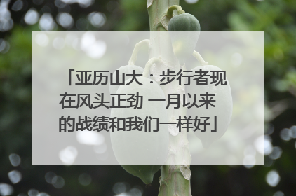 亚历山大：步行者现在风头正劲 一月以来的战绩和我们一样好