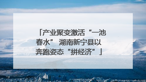 产业聚变激活“一池春水” 湖南新宁县以奔跑姿态“拼经济”