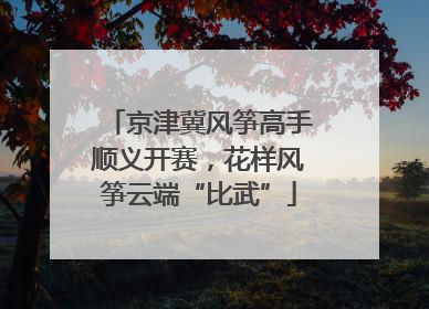 京津冀风筝高手顺义开赛，花样风筝云端“比武”