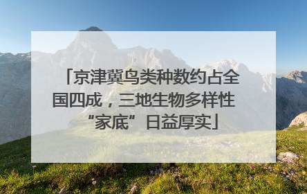京津冀鸟类种数约占全国四成，三地生物多样性“家底”日益厚实