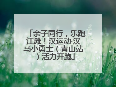 亲子同行，乐跑江滩！汉运动·汉马小勇士（青山站）活力开跑