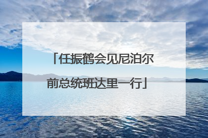 任振鹤会见尼泊尔前总统班达里一行