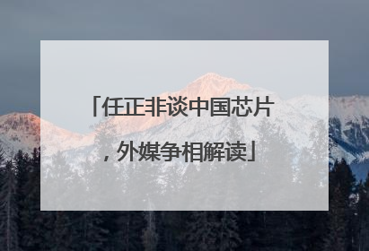 任正非谈中国芯片，外媒争相解读